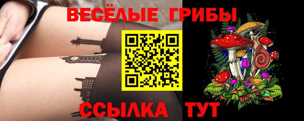 Псков  Галлюциногенные грибы прущие грибы  Вход с VPN 